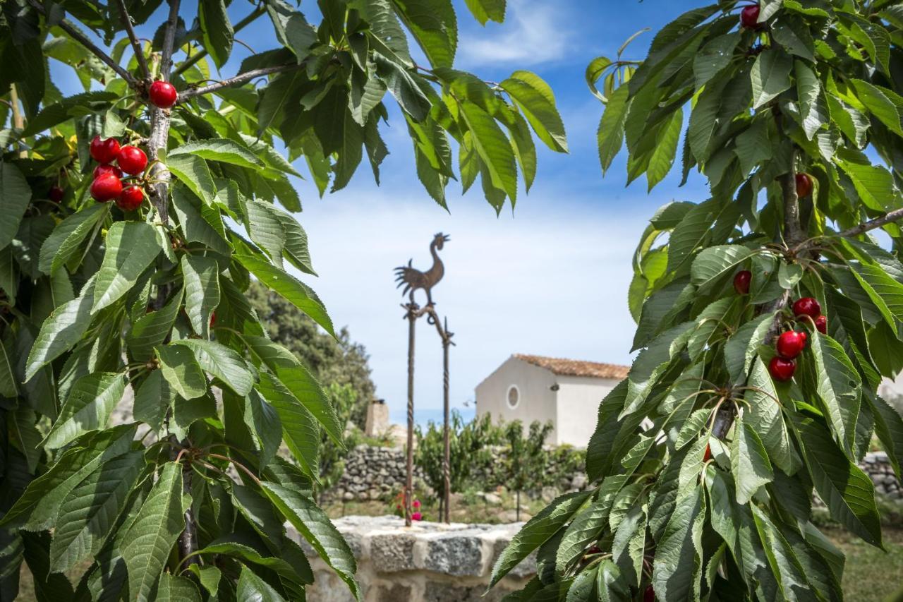 Luogosanto Gallicantu Stazzo Retreat מראה חיצוני תמונה