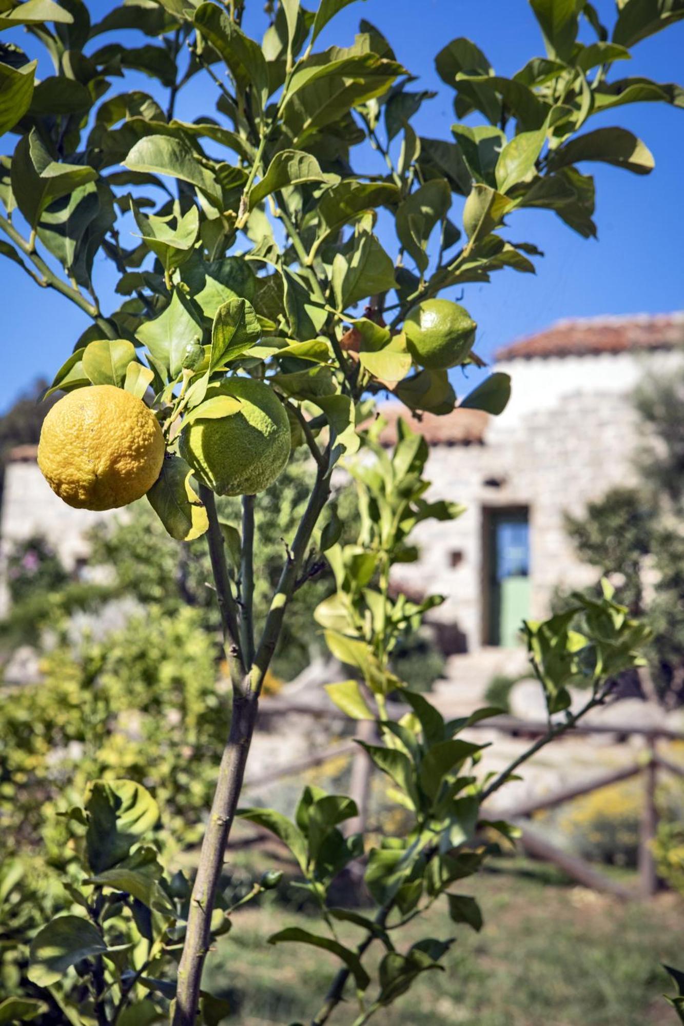 Luogosanto Gallicantu Stazzo Retreat מראה חיצוני תמונה