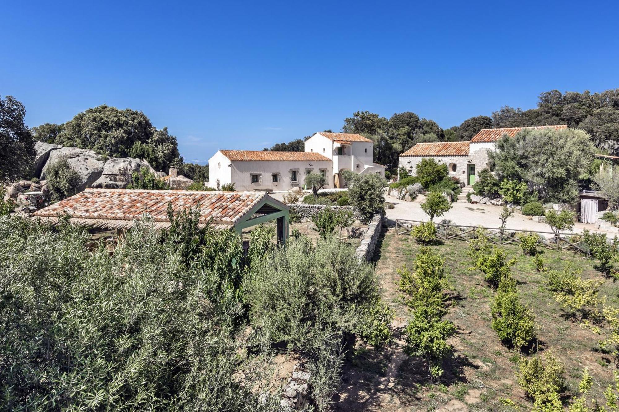 Luogosanto Gallicantu Stazzo Retreat מראה חיצוני תמונה